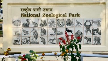 Delhi National Zoological Park Shuts Down Temporarily Amid Surge in COVID-19 Cases