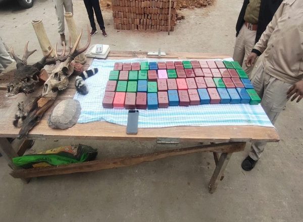 India News | Two Held in Assam, 795 Gm Heroin, Wildlife Products Seized