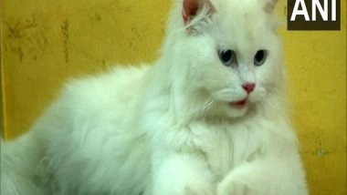 India News | In a First, TN Woman Performs Baby Shower of Her Pet Cats in Coimbatore