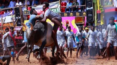 Jallikattu 2022: Tamil Nadu Allows Traditional Bull-Taming Event This Year With COVID-19 Restrictions, Check Details