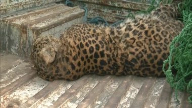 India News | J-K: Leopard Found Dead in Samba