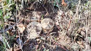 India News | BSF Recovers 3 IEDs from Odisha's Malkangiri