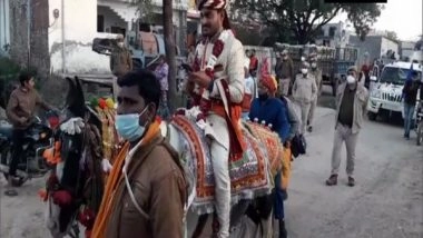 India News | Rajasthan: Bundi Administration Helps Dalit Groom Sit Atop a Horse During Wedding Ceremony