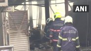 Mumbai: Fire Breaks Out in Wood Godown Near Byculla&rsquo;s Mustafa Bazar, No Casualty Reported