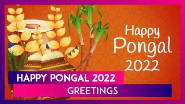 Pongal 2022 Greetings: Share Latest Wishes, Images & Thai Pongal Thoughts With Your Dear Ones