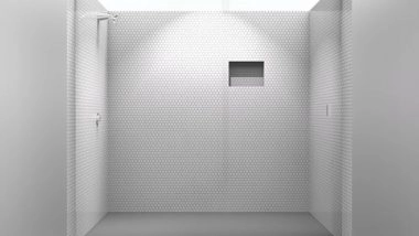 Business News | Hafele Introduces Shower Fittings Echo - A Robust, Modern and Compact Shower Enclosure