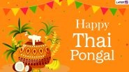 When Is Thai Pongal 2022? Is Sankranthi Date Falling on January 14 or January 15 This Year? Know Significance of Pongalo Pongal