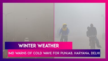 Winter Weather: IMD Warns Of Cold Wave For Punjab, Haryana, Delhi For Next 48 Hours