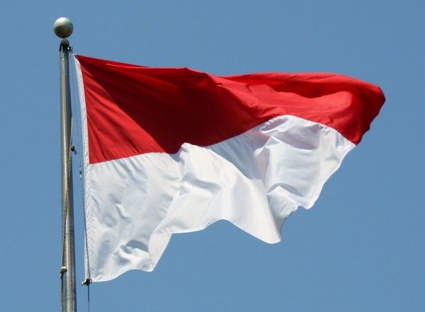 Indonesia to Ban Exports of Cooking Oil and Raw Materials to Reduce Domestic Shortages