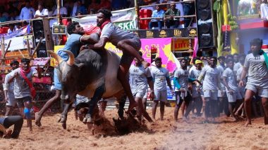 Jallikattu Competition Begins at Avaniyapuram Village in Madurai