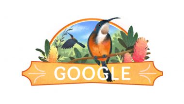 January 26 2022 Google Doodle in Australia Features Eastern Spinebill, View Pic of Beautiful Creation