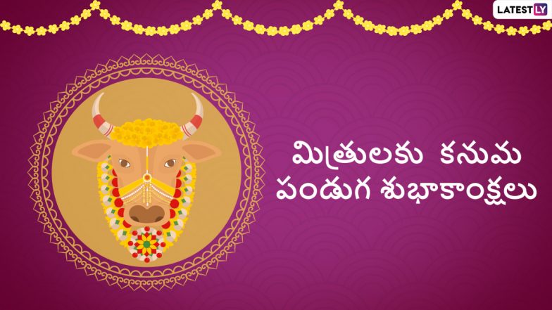 Happy Kanuma 2022 Telugu Wishes, Images & HD Wallpapers for Free Download Online: Celebrate Kanuma Festival With WhatsApp Messages, Pics and Greetings