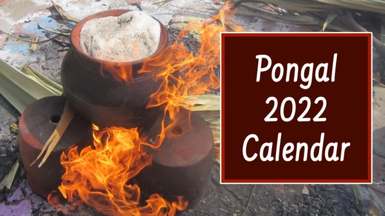 Know Pongal 2022 Start and End Date: Know Significance of Bhogi, Thai, Mattu and Kaanum Pongal