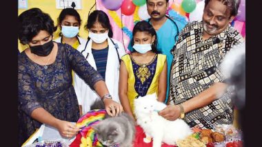 Coimbatore Businessman Hosts Baby Shower For Pregnant Persian Cats