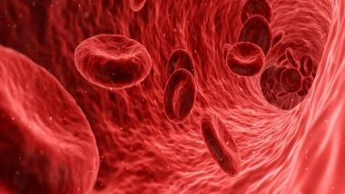 Health News | New Study Reveals Being in Space Destroys More Red Blood Cells