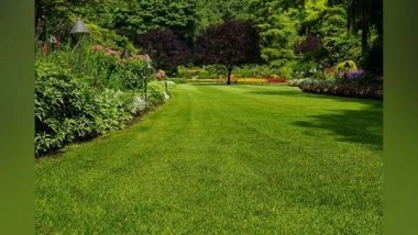 Business News | Farmhouses See Jump in Demand After New CLU Policy