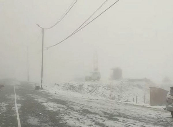 World News | 21 People in Pakistan's Murree Freeze to Death Amid Heavy Snowfall