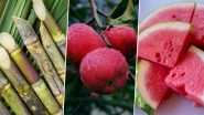 Lucky Fruits For Chinese New Year 2022: From Sugarcanes To Apples, 5 Fruits That Will Boost Your Wealth And Attract Good Luck And Chi Energy