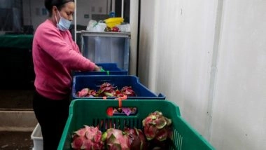 World News | 300,000 Ton Vietnamese Dragon Fruit Await Buyers as China Clamps Down on Border Trade