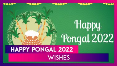 Happy Pongal 2022 Messages: Download Cheerful Thai Pongal Wishes, HD Images & Quotes