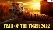Year of The Tiger 2022 Predictions: Know Your Chinese Zodiac Sign, Element and Lucky Months of the Year for Each Horoscope