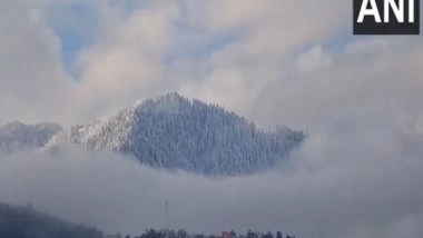 India News | Cold Wave Continues to Prevail over North India