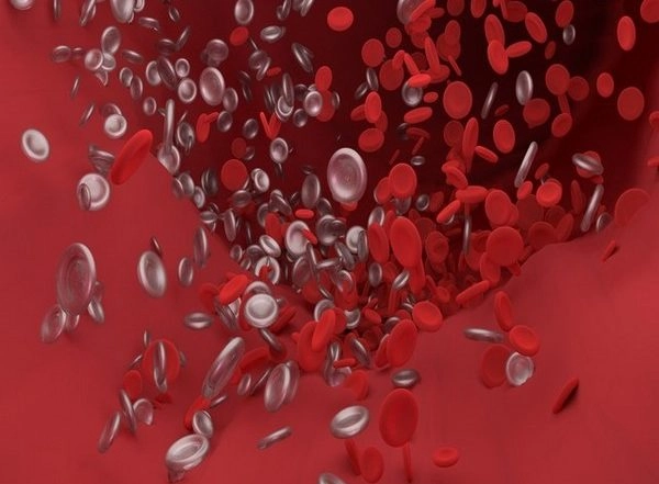 Science News | Study Examines Effects of Exercise, Age Effects on Plaque Formation in Arteries