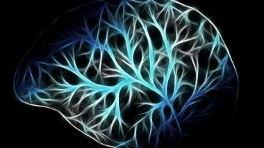 Science News | Study Finds Brain Needs to Update Like Social Media Feeds