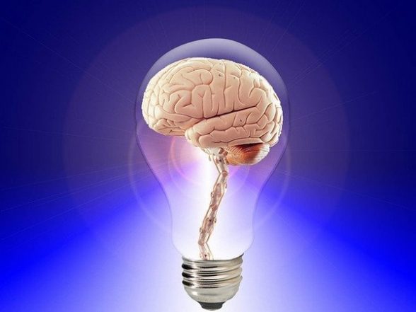 Health News | Researchers Suggest Forgetting is a Form of Learning - Vimarsana News