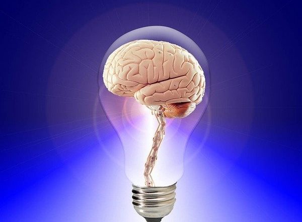 Health News | Researchers Suggest Forgetting is a Form of Learning