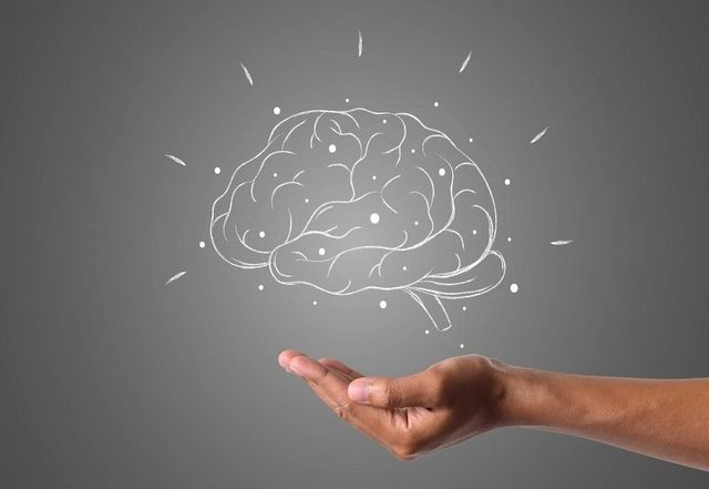 Science News | Study Finds Brain Networks Enable Human Conversation