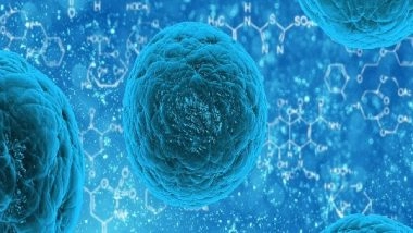 Science News | Parents' Genes Influence Child's Educational Success: Study