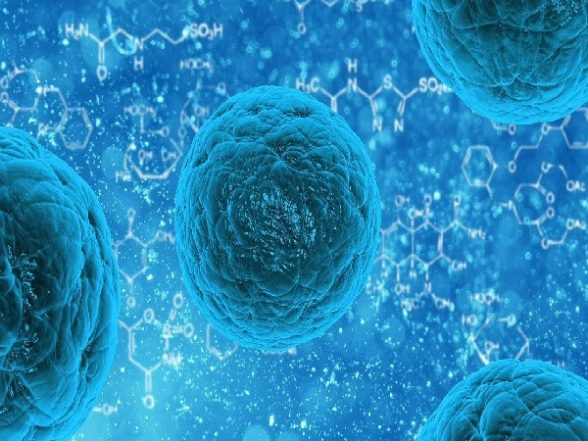 Science News | Parents' Genes Influence Child's Educational Success: Study - Vimarsana News