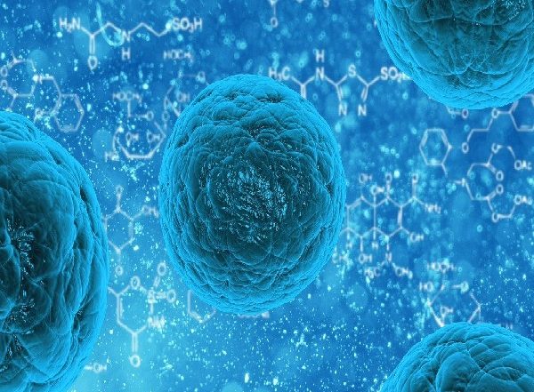 Science News | Parents' Genes Influence Child's Educational Success: Study