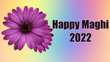 Happy Maghi 2022: Makar Sankranti WhatsApp Wishes, GIF Images, HD Wallpapers, Facebook Messages and SMS for the Auspicious Harvest Festival