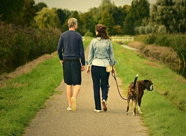 Lifestyle News | Study Finds Brain Can Multitask While Walking