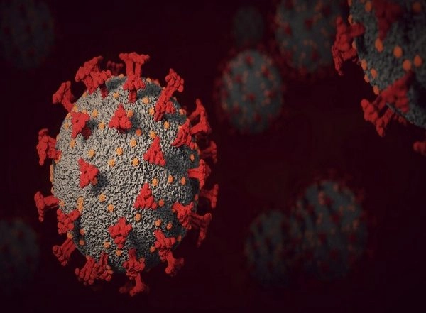 Science News | Study Finds Changes in Omicron's Spike Protein