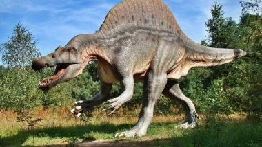 Science News | Study Reveals New Information About Movement and Evolution of Dinosaurs