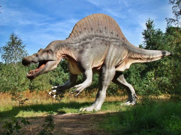 Science News | Study Reveals New Information About Movement and Evolution of Dinosaurs - LatestLY