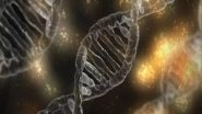 Science News | Scientists Develop 'valves' in DNA to Shape Biological Information Flows