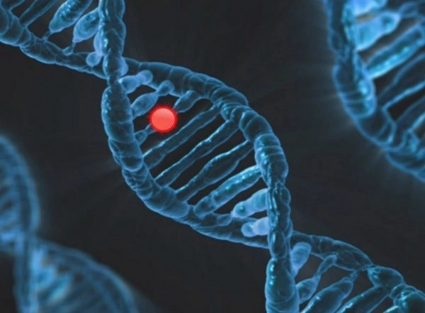 Science News | Genes Linked to Longer Human Lifespan: Study