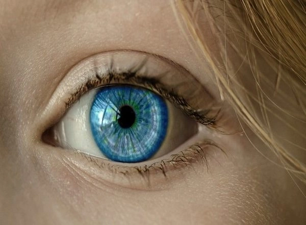 Science News | Study Says Difference Between Retina's Biological Age, Person's Real Age Linked to Increased Death Risk