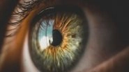 Massive! Pig-Skin Corneal Implant Restores Sight of 20 People