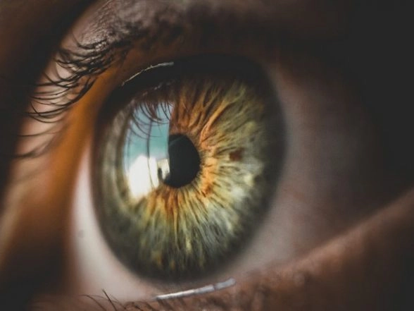 Pig-Skin Corneal Implant Restores Sight in Blind, Visually Impaired