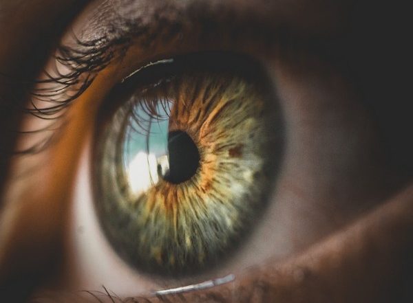 Science News | Study Shows the Larger an Image, the Better We Remember It
