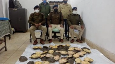 India News | Railway Protection Force Recovers 61 Live Turtles from Gaya Junction in Bihar