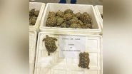India News | Chennai Air Cargo Customs Seizes 1,364 Live Star Tortoises