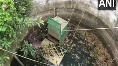 India News | Leopard Cub Rescued from Well in Maharashtra's Nashik