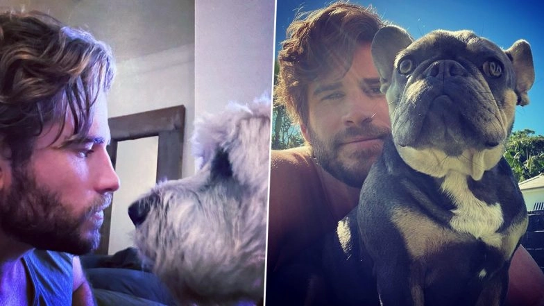 Liam Hemsworth Birthday Special: Adorable Pictures of the Star With His Furry Best Friends That Are Too Cute To Be Missed (View Pics)