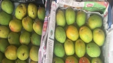 Business News | India's Mango Export to US May Surpass 1,095 MT in 2022